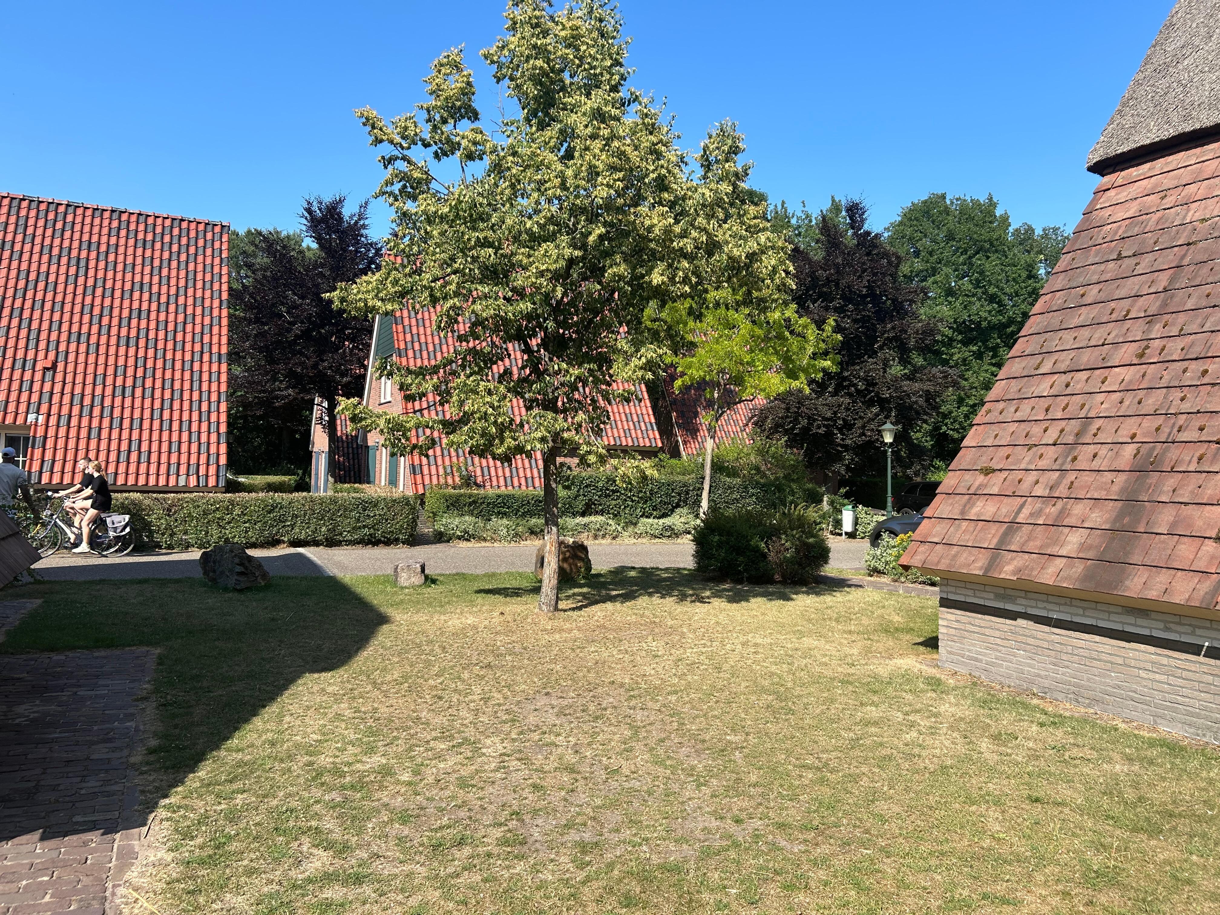 Garden area adjacent to lodge.