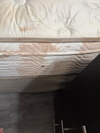 Someone barfed down the side of the bed