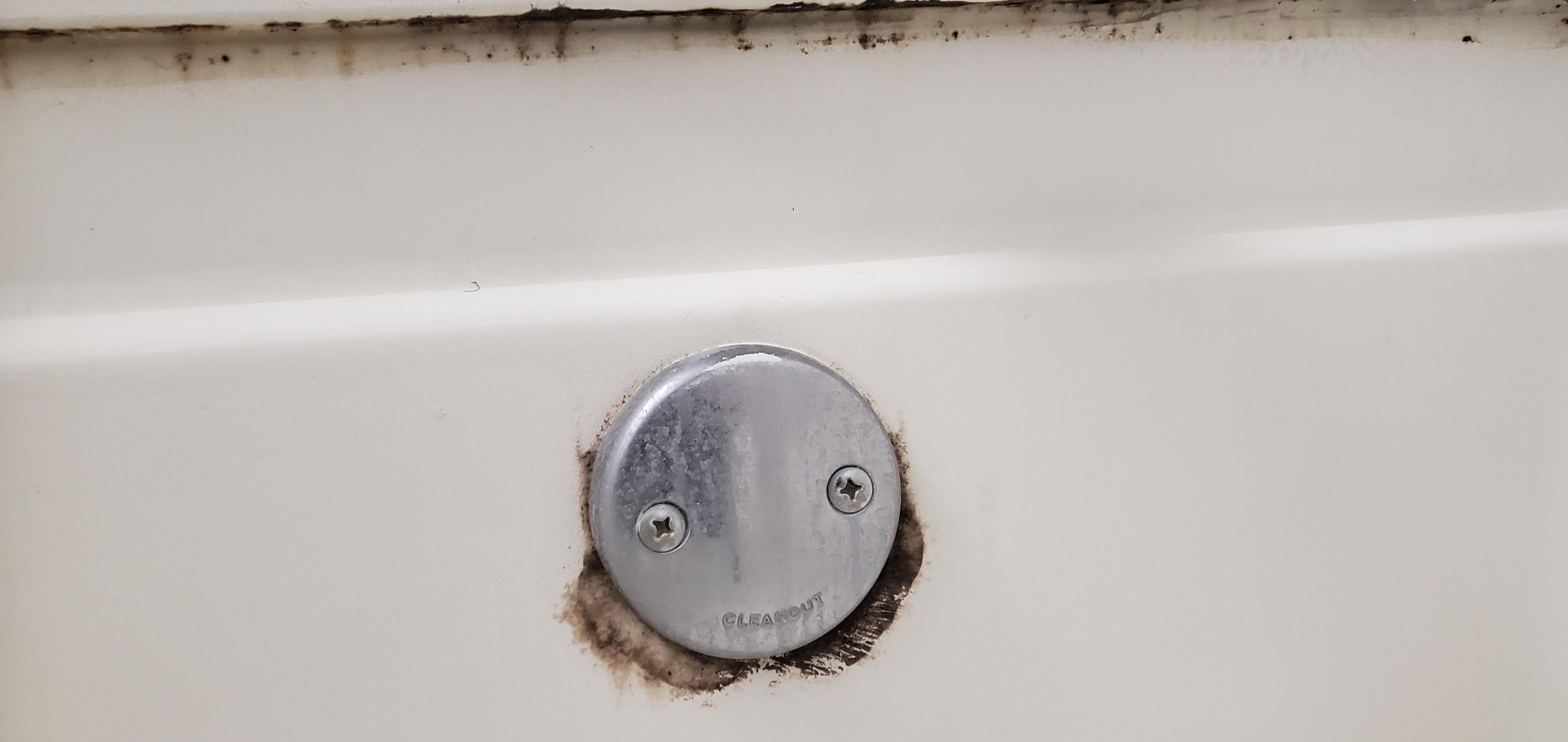 Mold growing on fxtue and surround