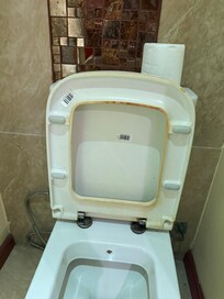 Filthy toilet seat