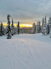 Full day of skiing followed by night skiing!