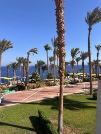 Room view