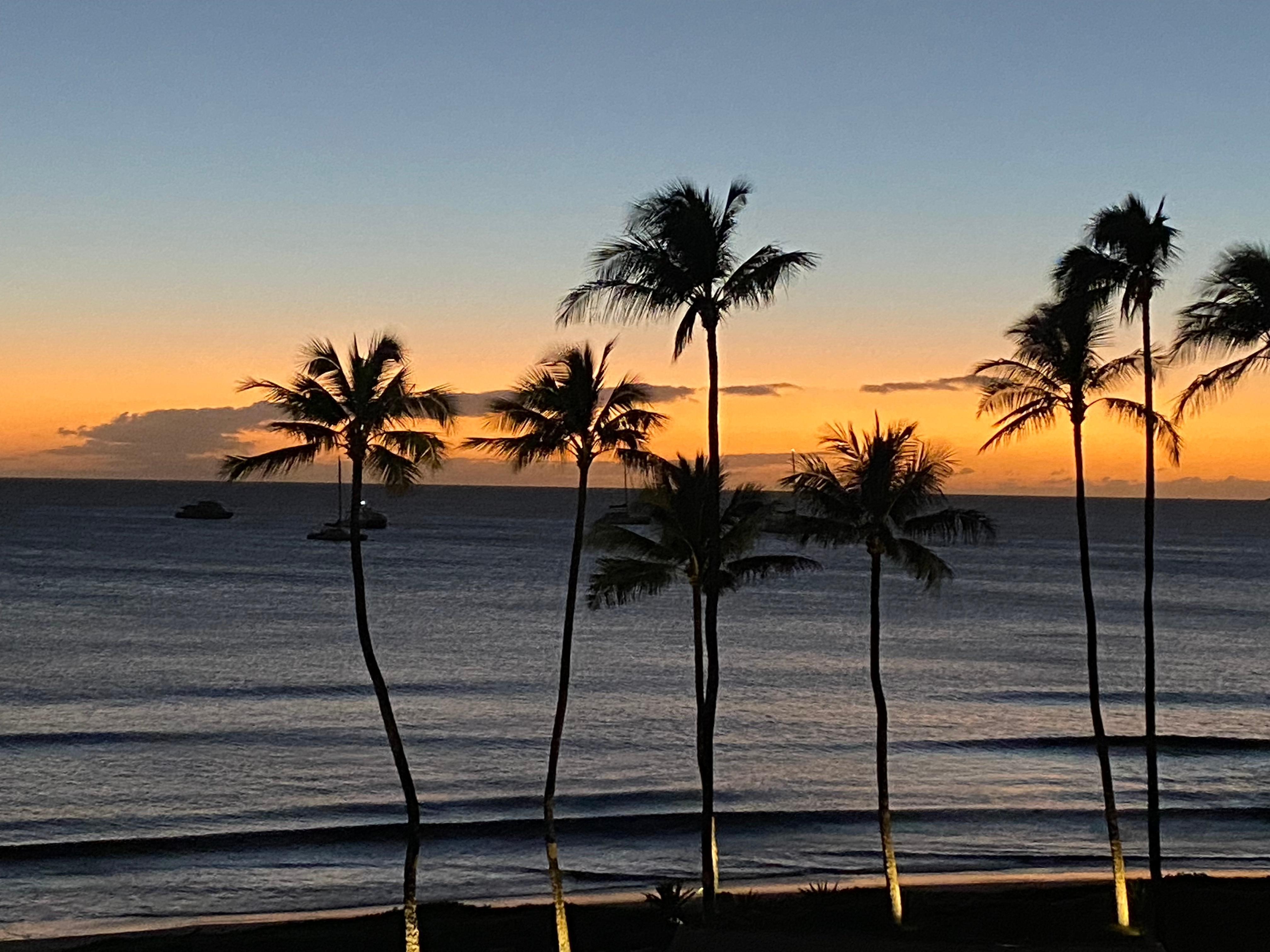 View from the lanai.