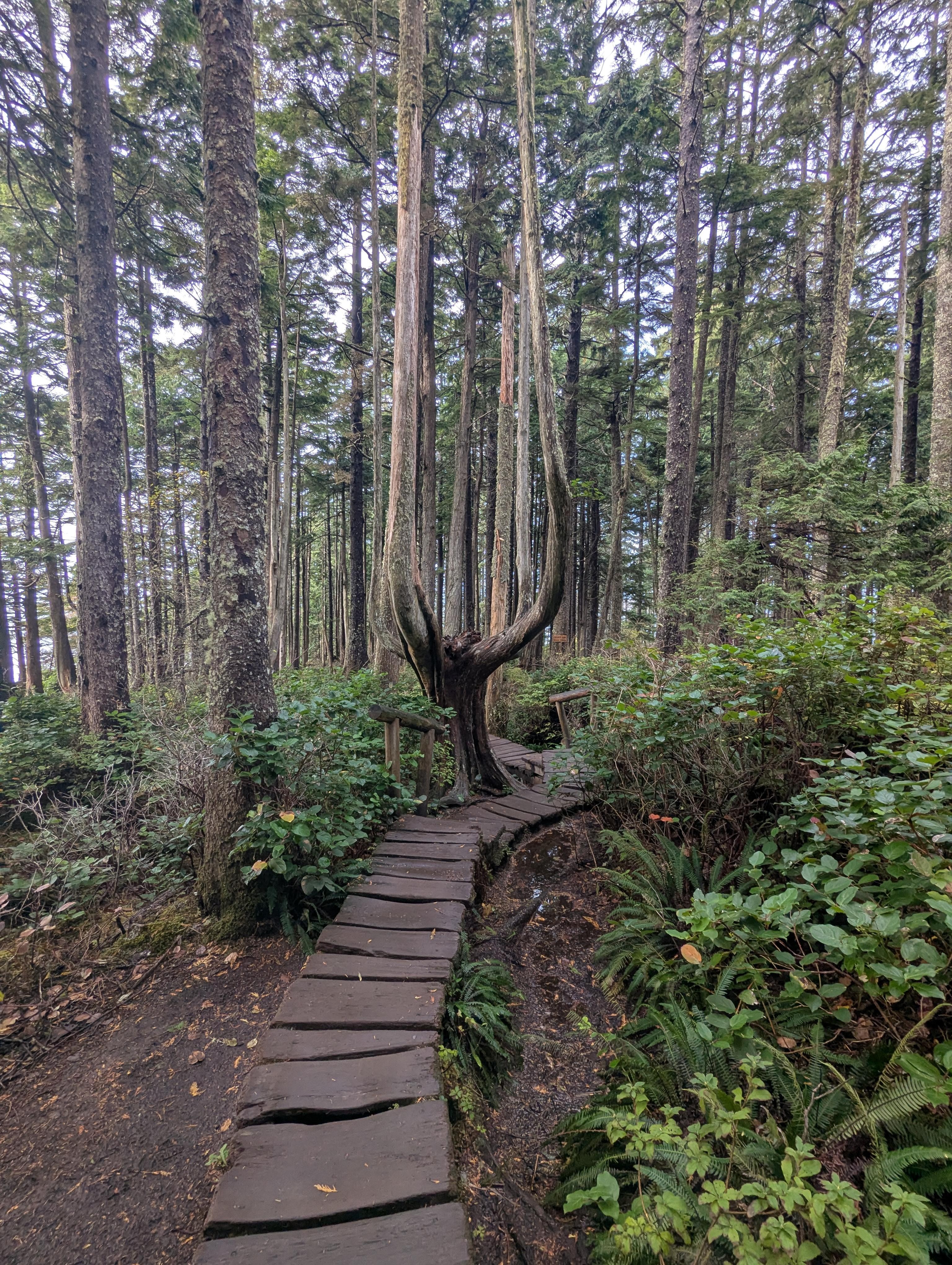 Cape flattery hike - approximately an hour from the property.