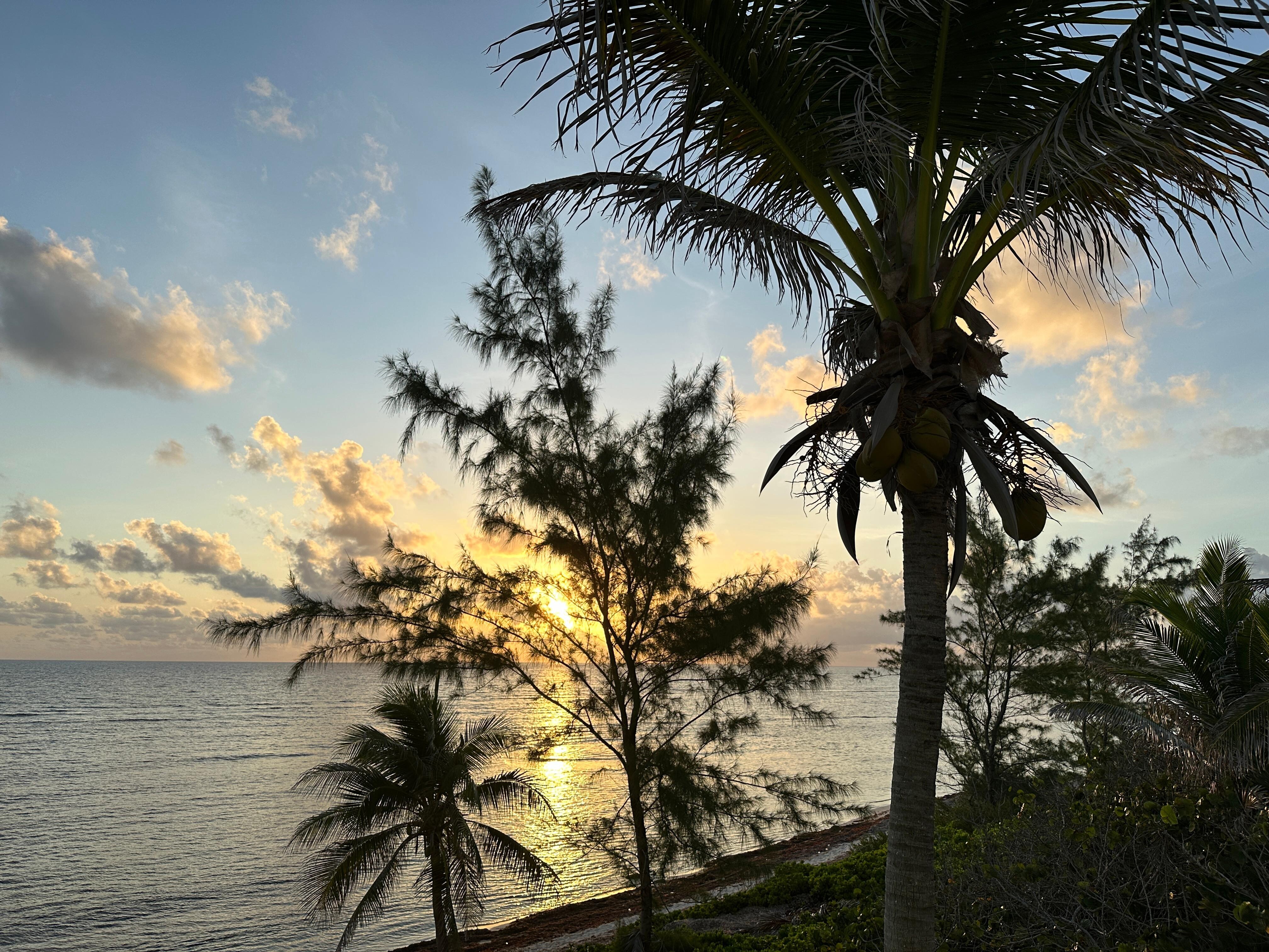 Sunrise. 