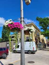 Building from the sidewalk with the beautiful hanging baskets
