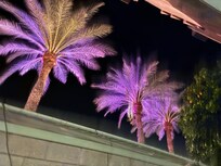 Fun holiday lighting on property