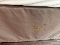 Ink substance on the bed skirt