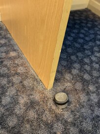 carpet