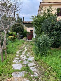 3月の初めなのに緑が濃い。南イタリアは温かい。