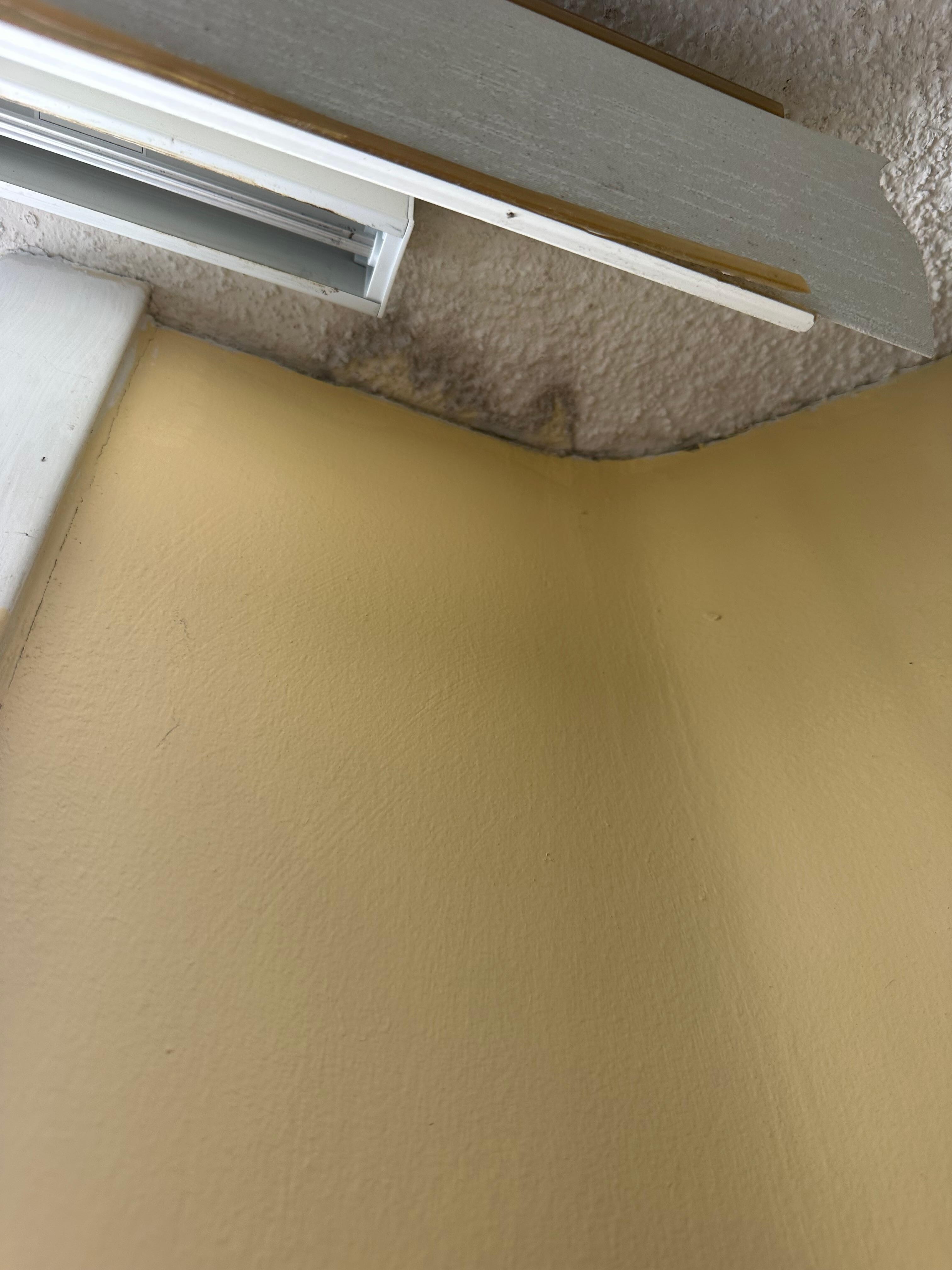 Mold by the patio door in the ceiling