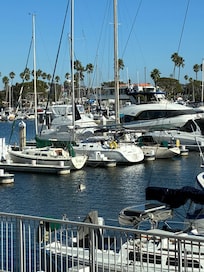 The Marina
