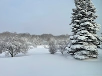 Lovely view out the back window.