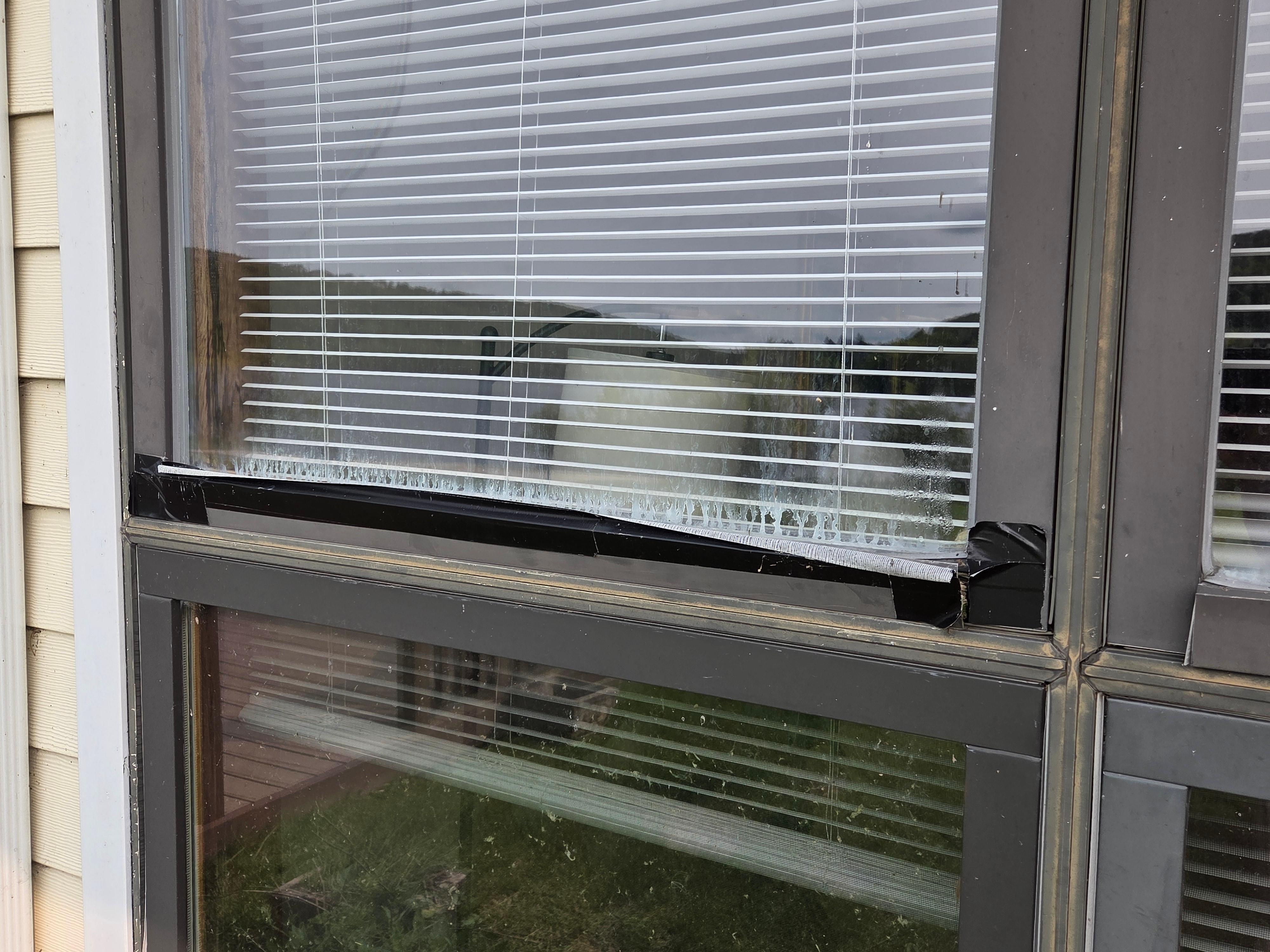 Windows will not open