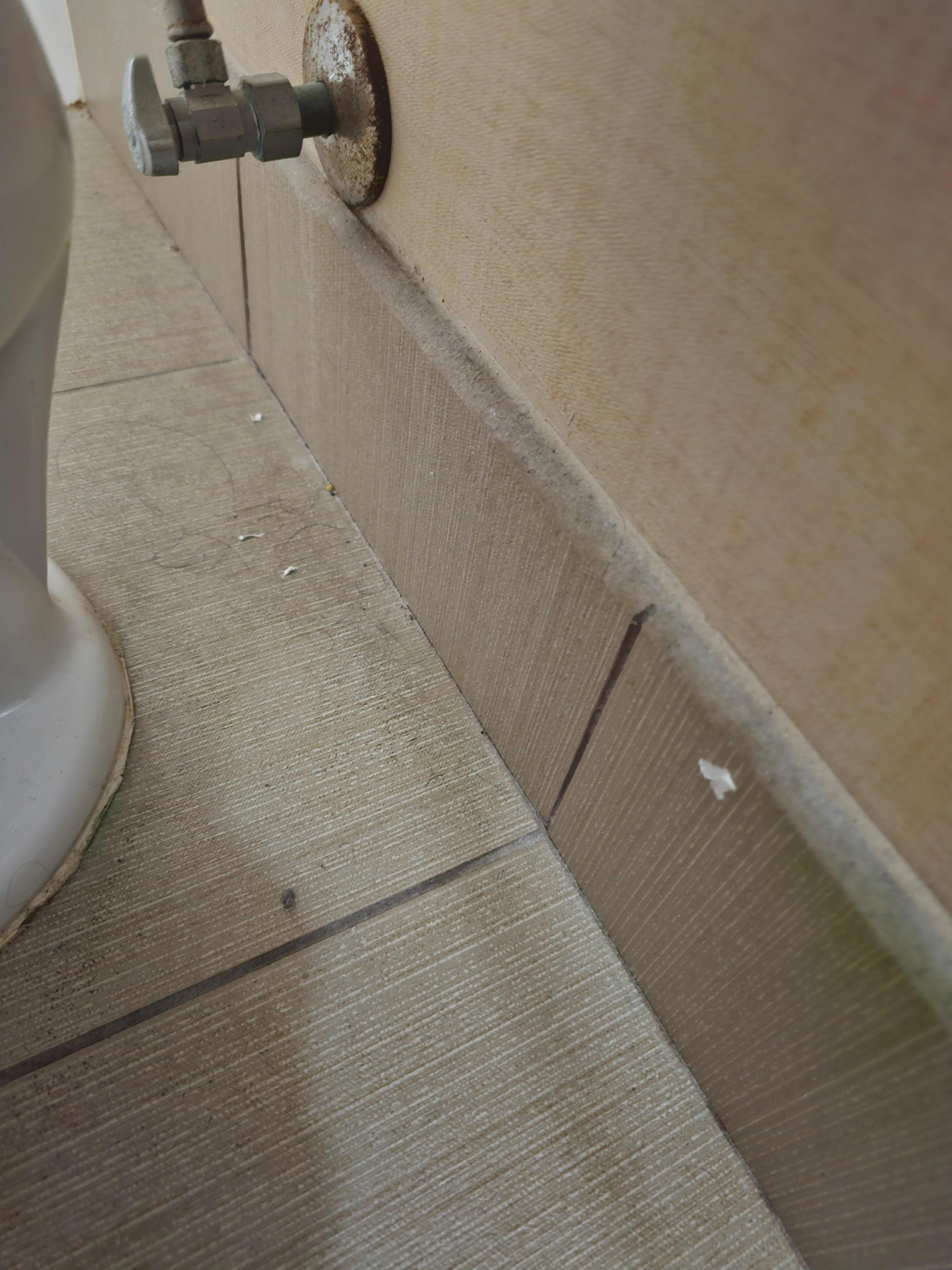 Dirty floor behind toilet 