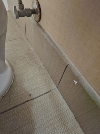 Dirty floor behind toilet