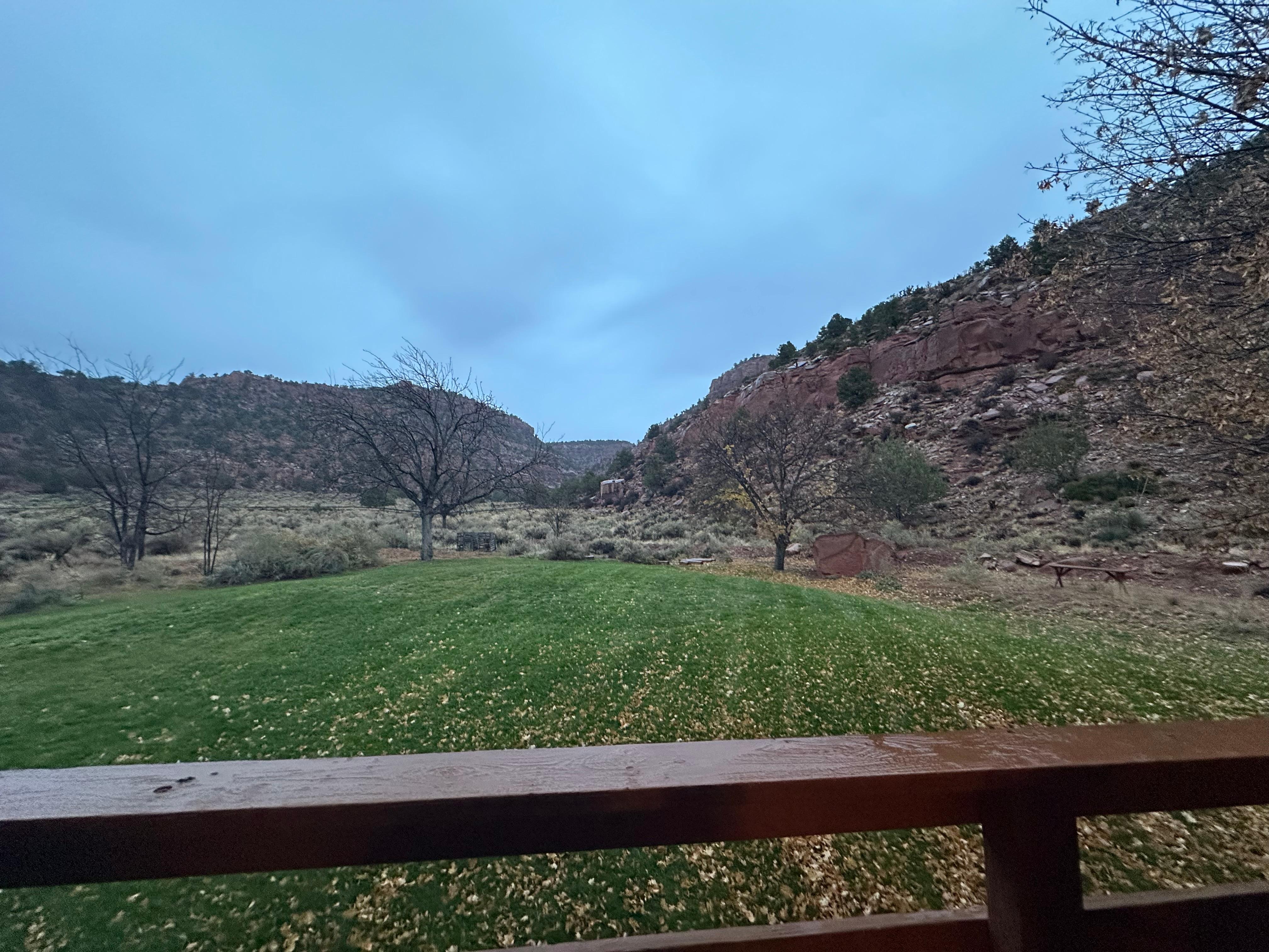 Larger grassy area perfect for pets, humans to enjoy. 