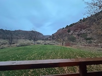 Larger grassy area perfect for pets, humans to enjoy.