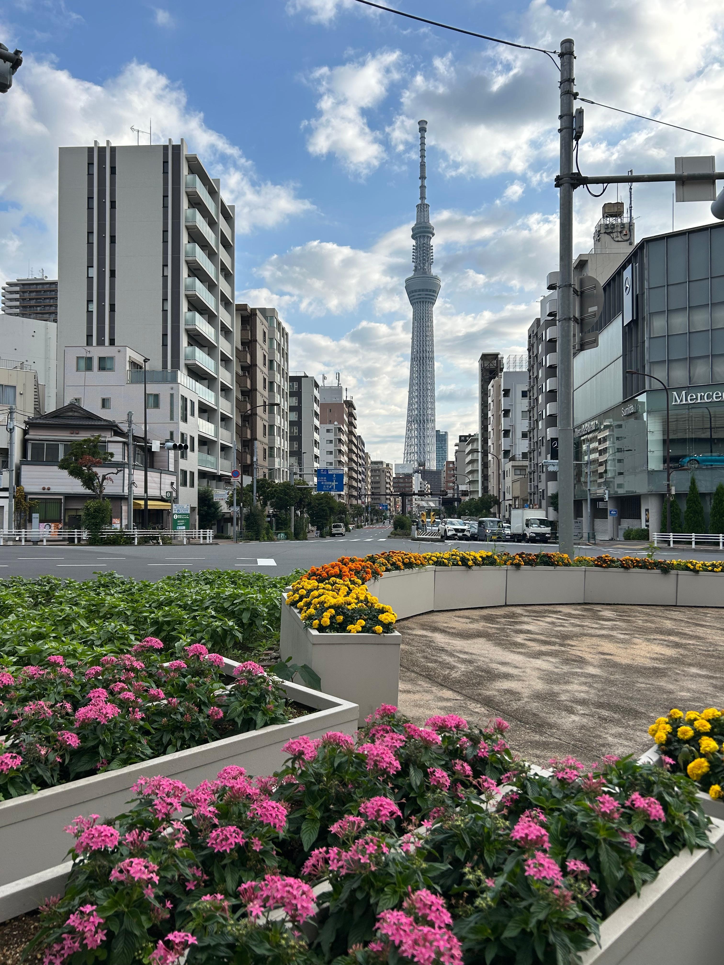 Walk from Asakusa Station