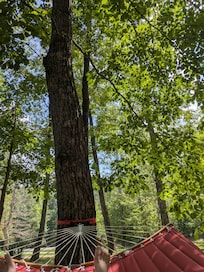 Use the hammock!