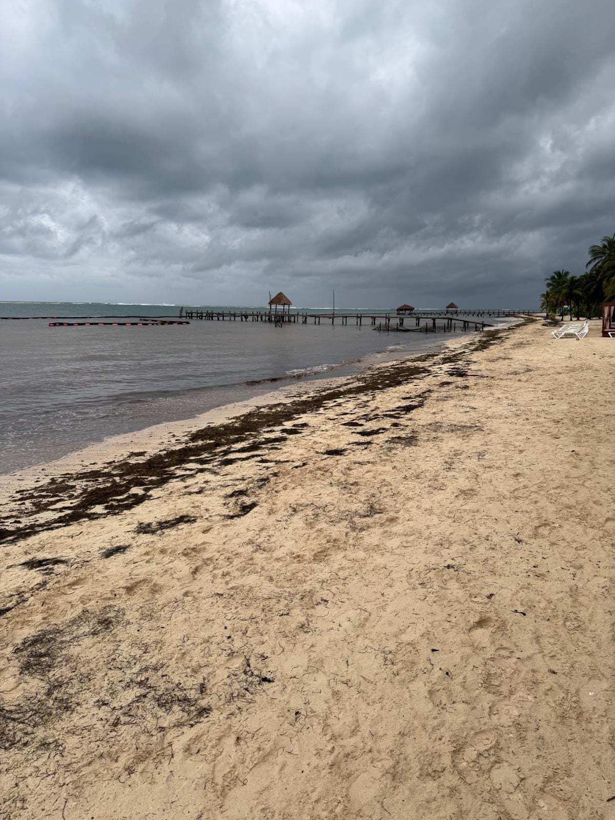 The water is brown and unsafe to go in