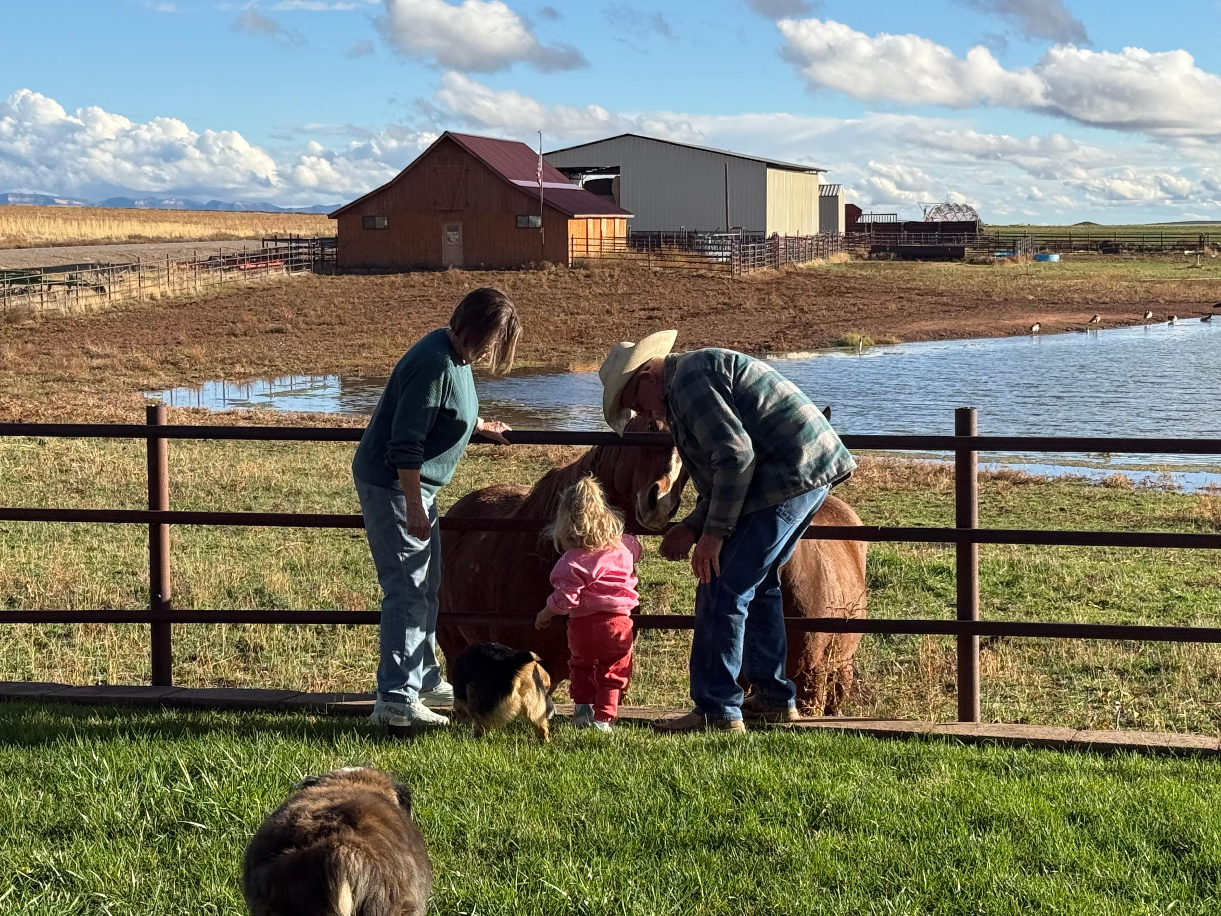 Hosts- Dan & Norma with our daughter feeding the horses.