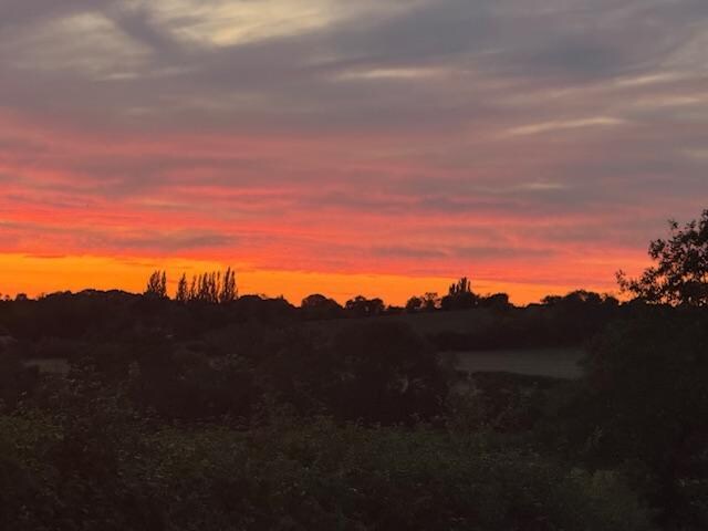 The beautiful sunset. Photo taken in the lane by the property.