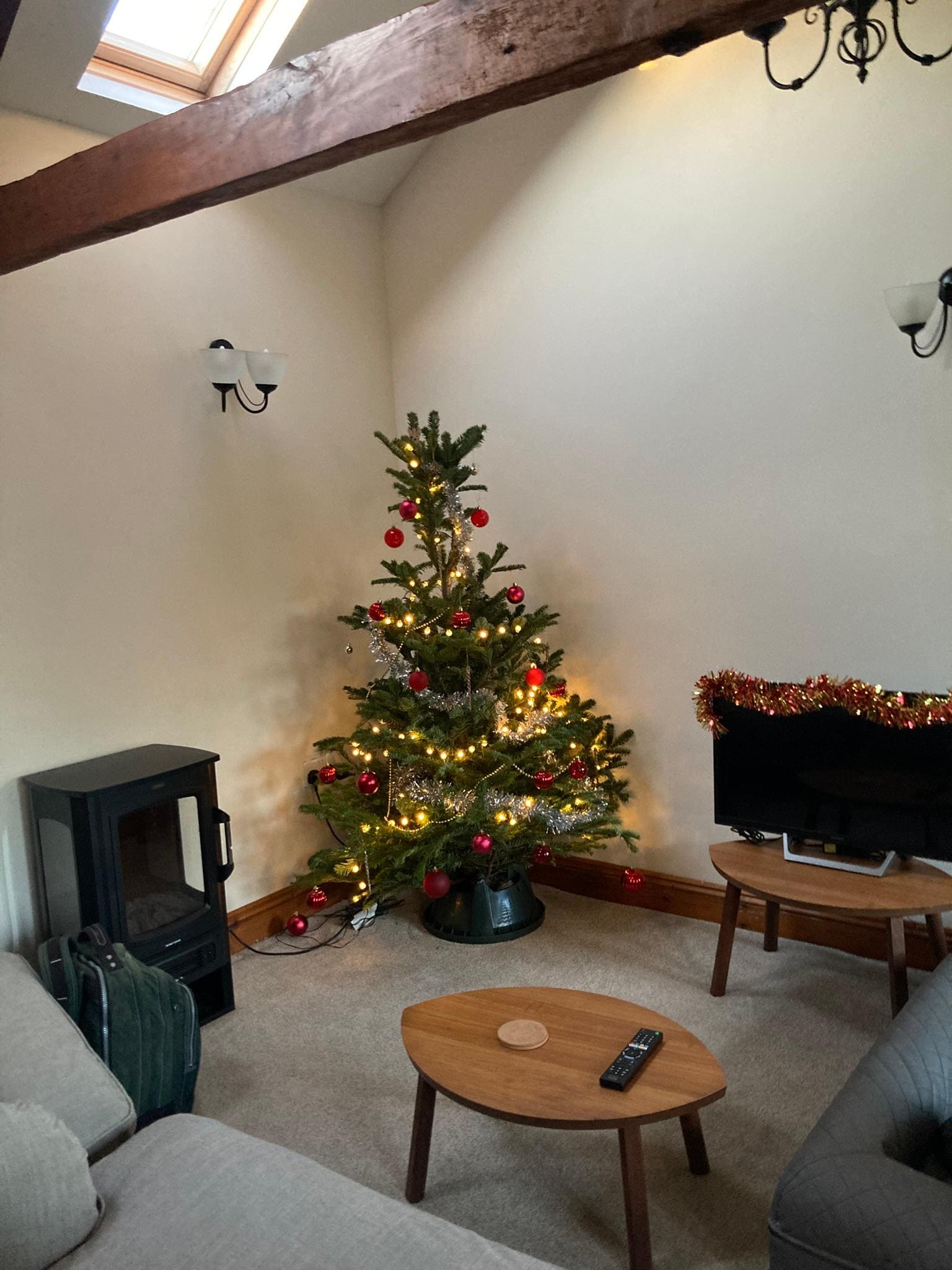 vrolijk aangekleed met kerstboom