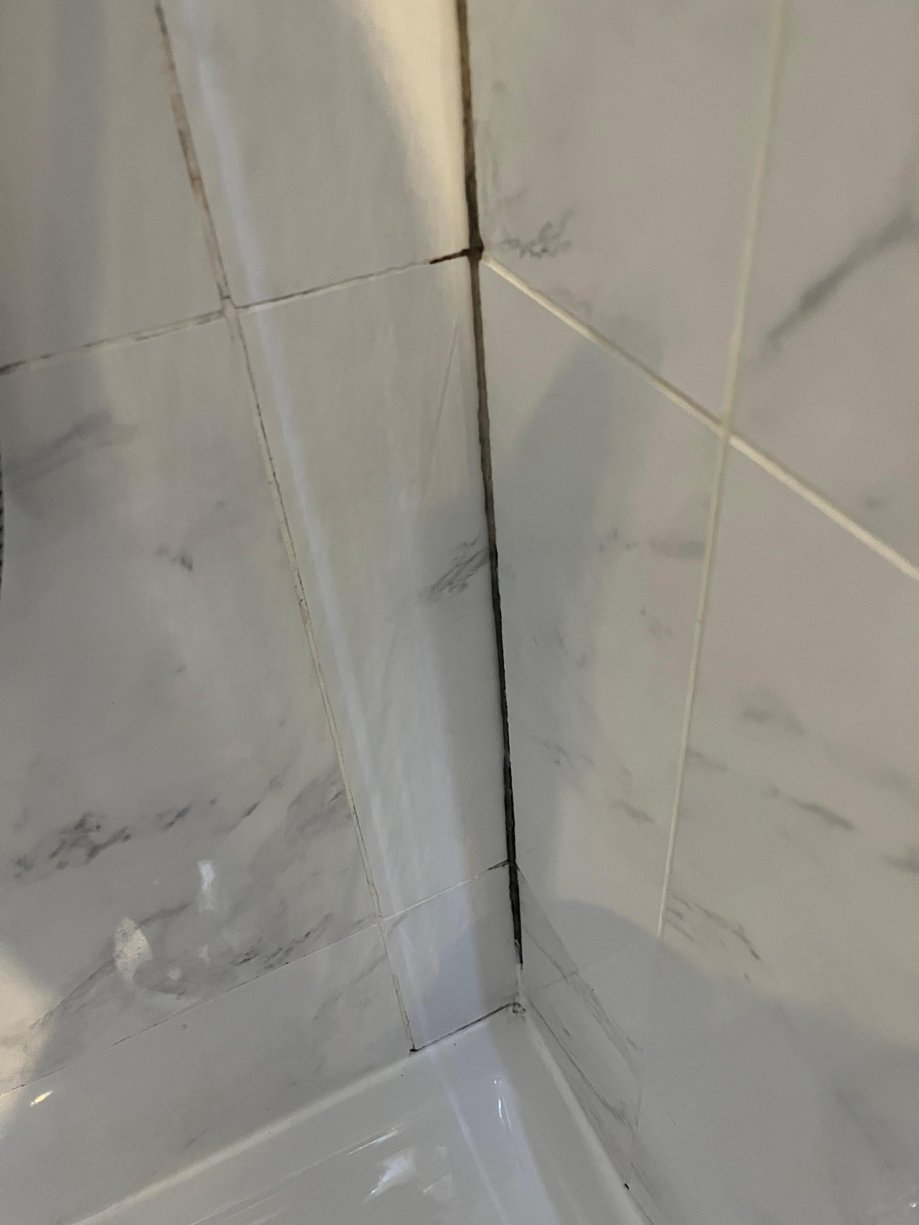 Moisissures bas de douche 