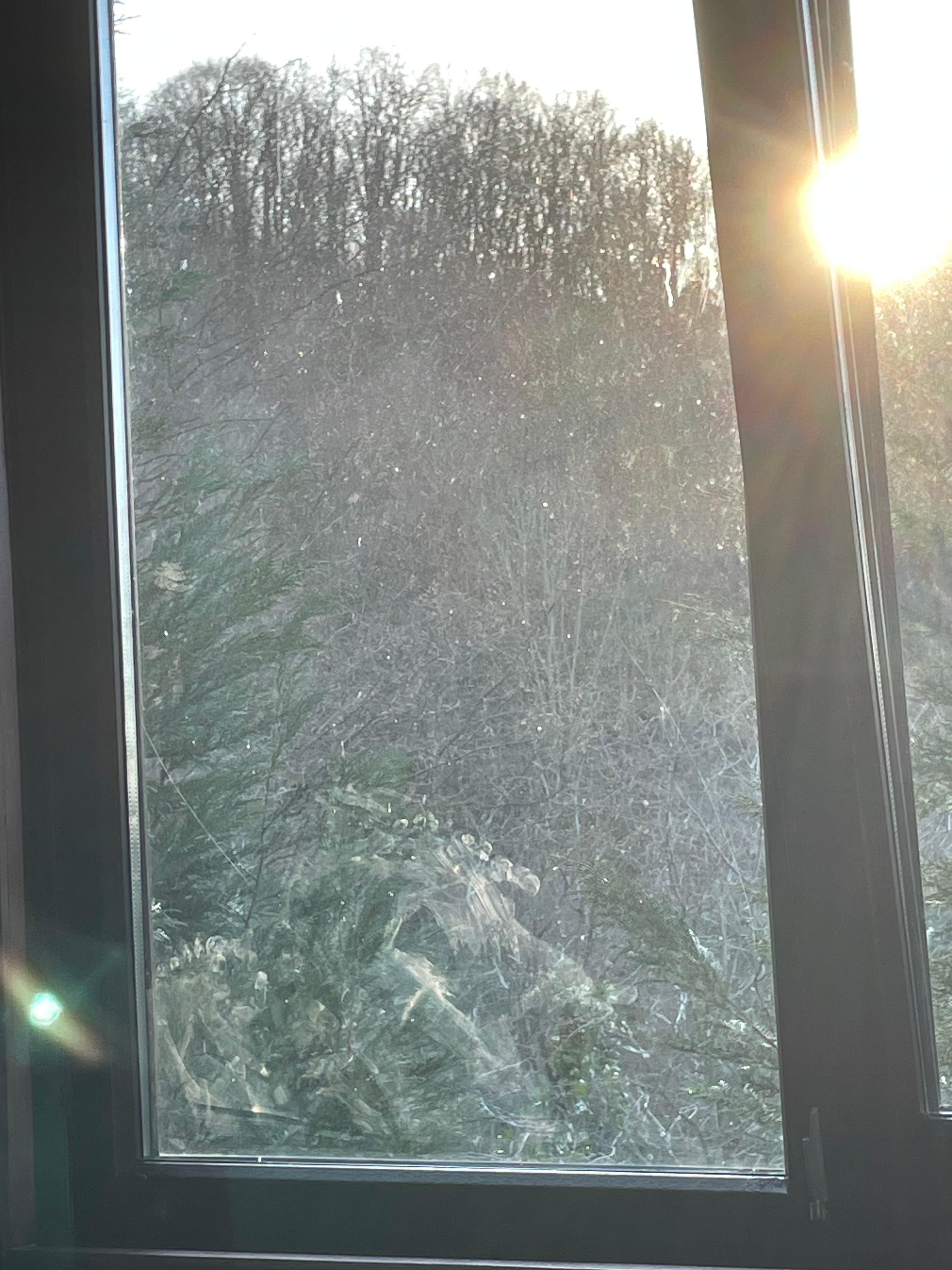 Kirli pencerelerden bir tanesi