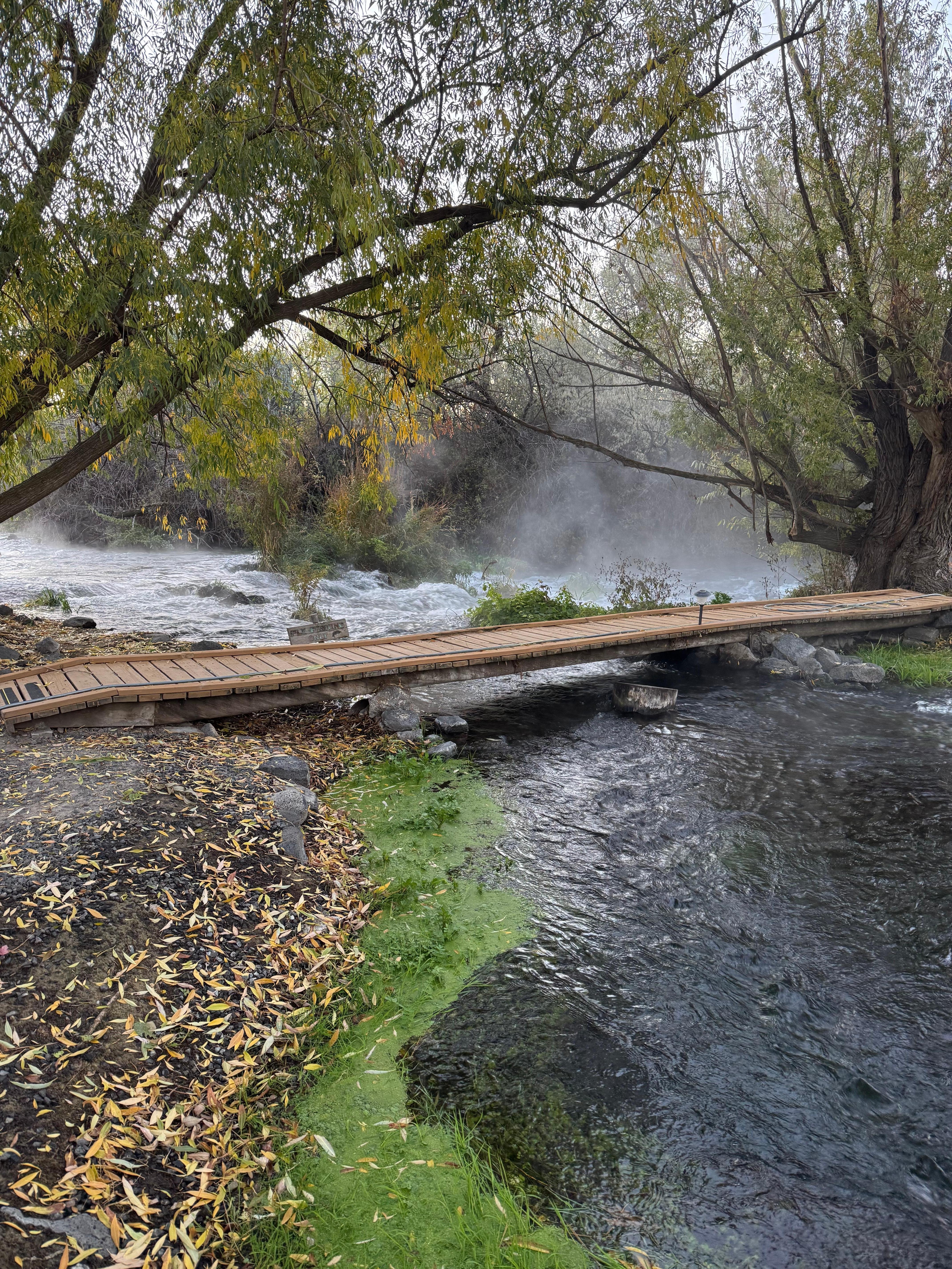 View from back door of cabin