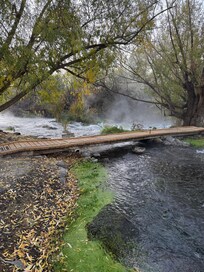 View from back door of cabin