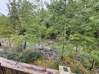 Creek view from back porch