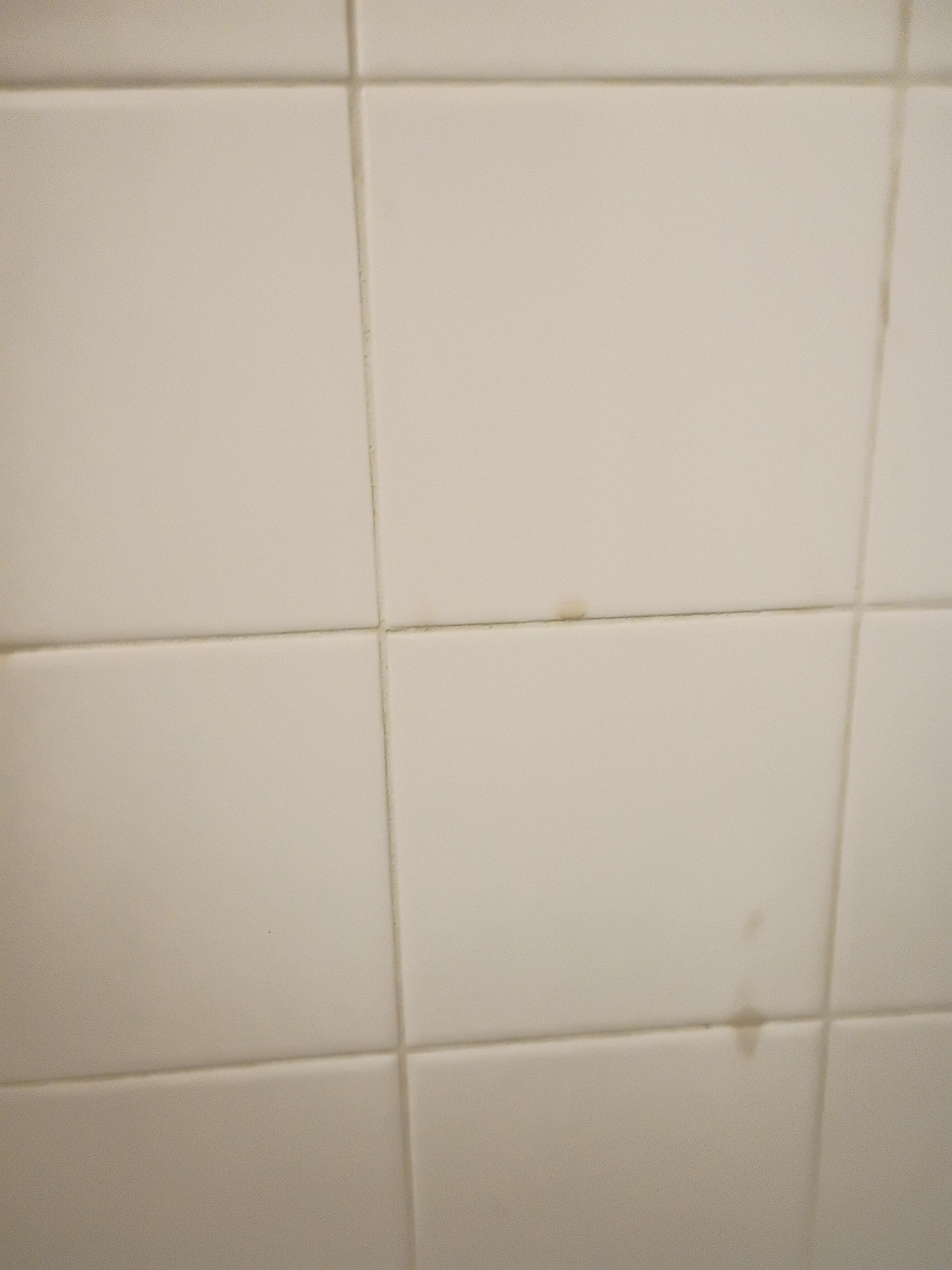 Dirty bathroom wall tiles.