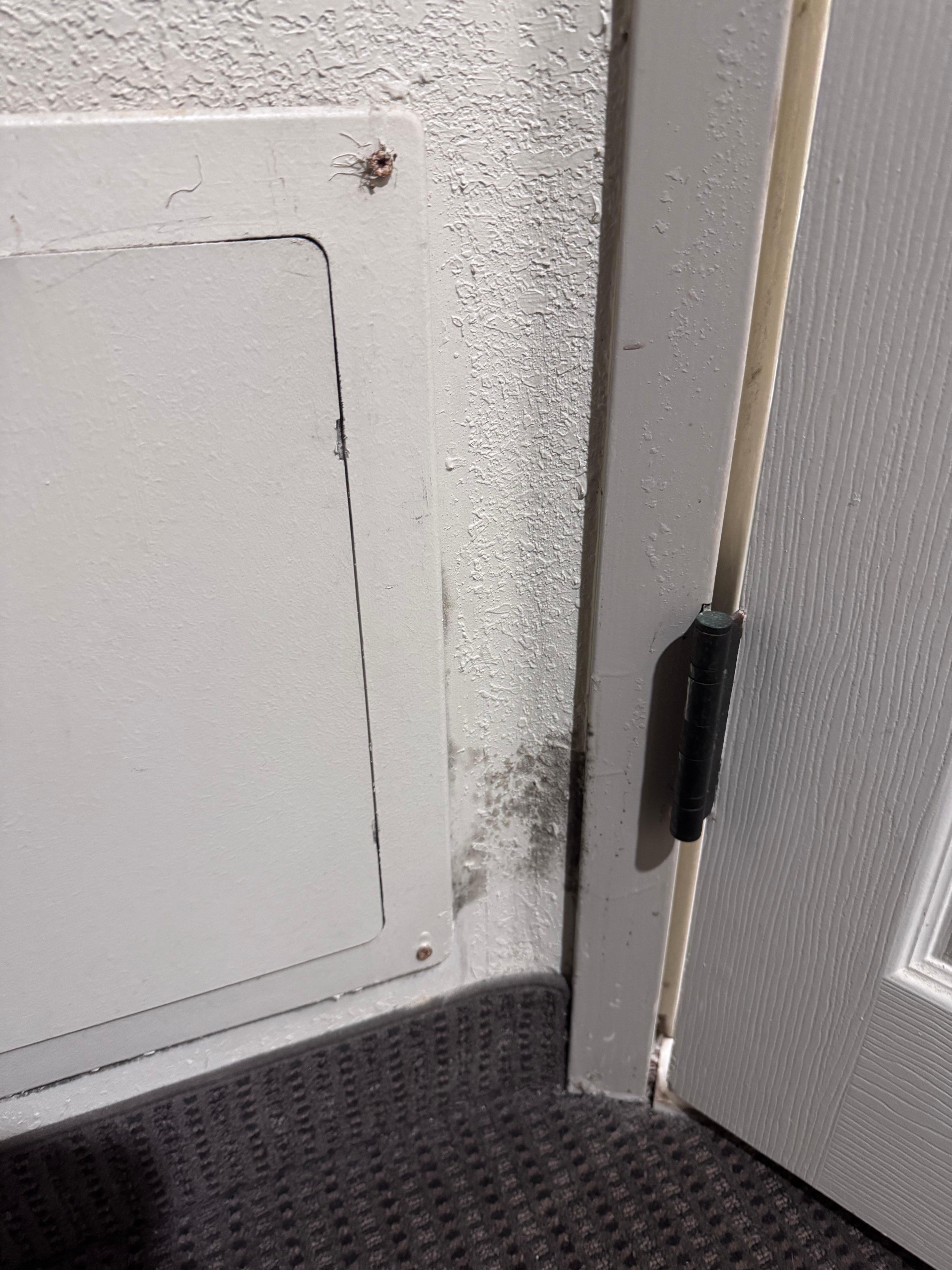 Mold in room she “moved” us too on 3rd flood