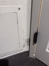 Mold in room she “moved” us too on 3rd flood