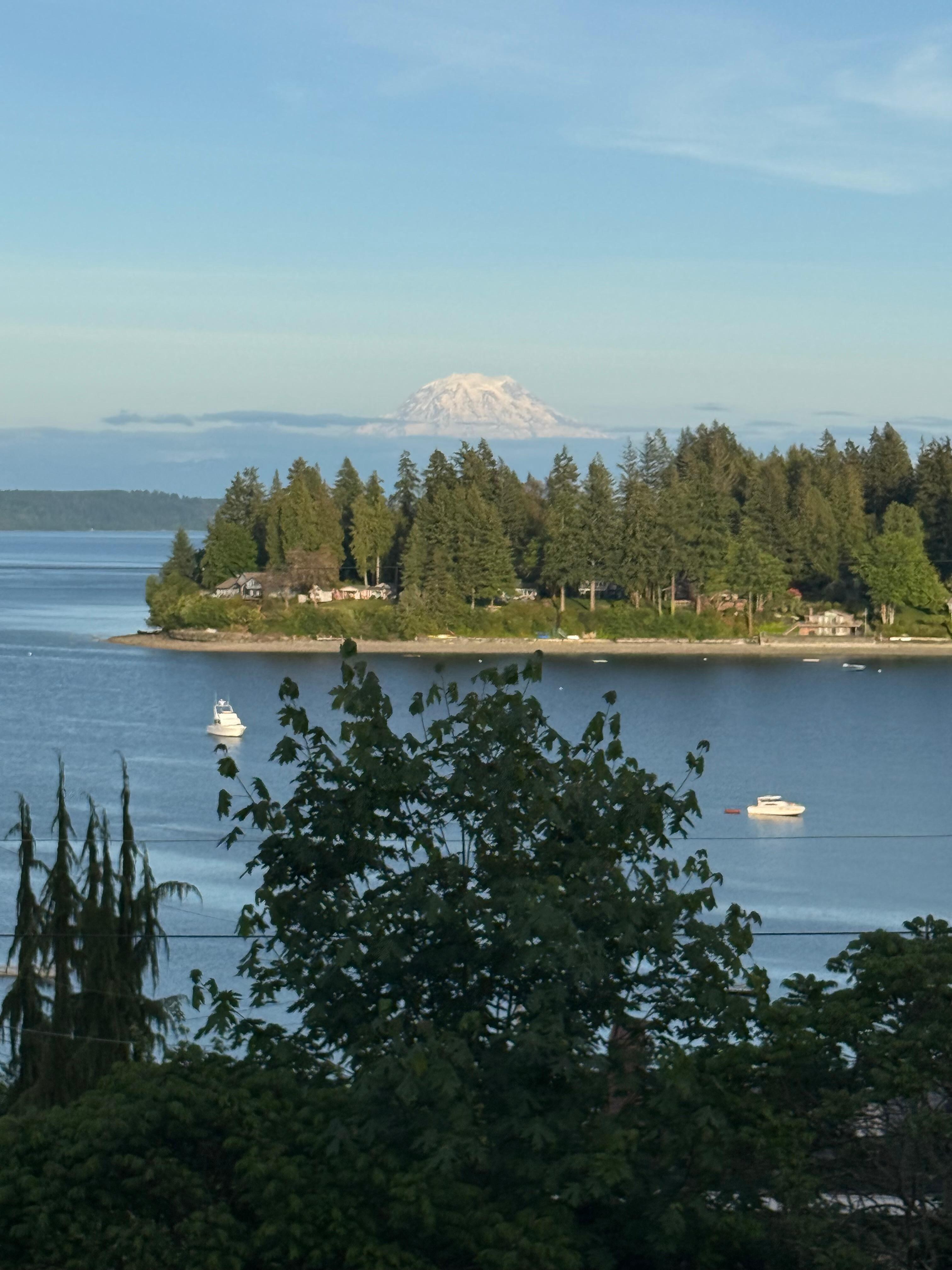 Mt Rainier from deck