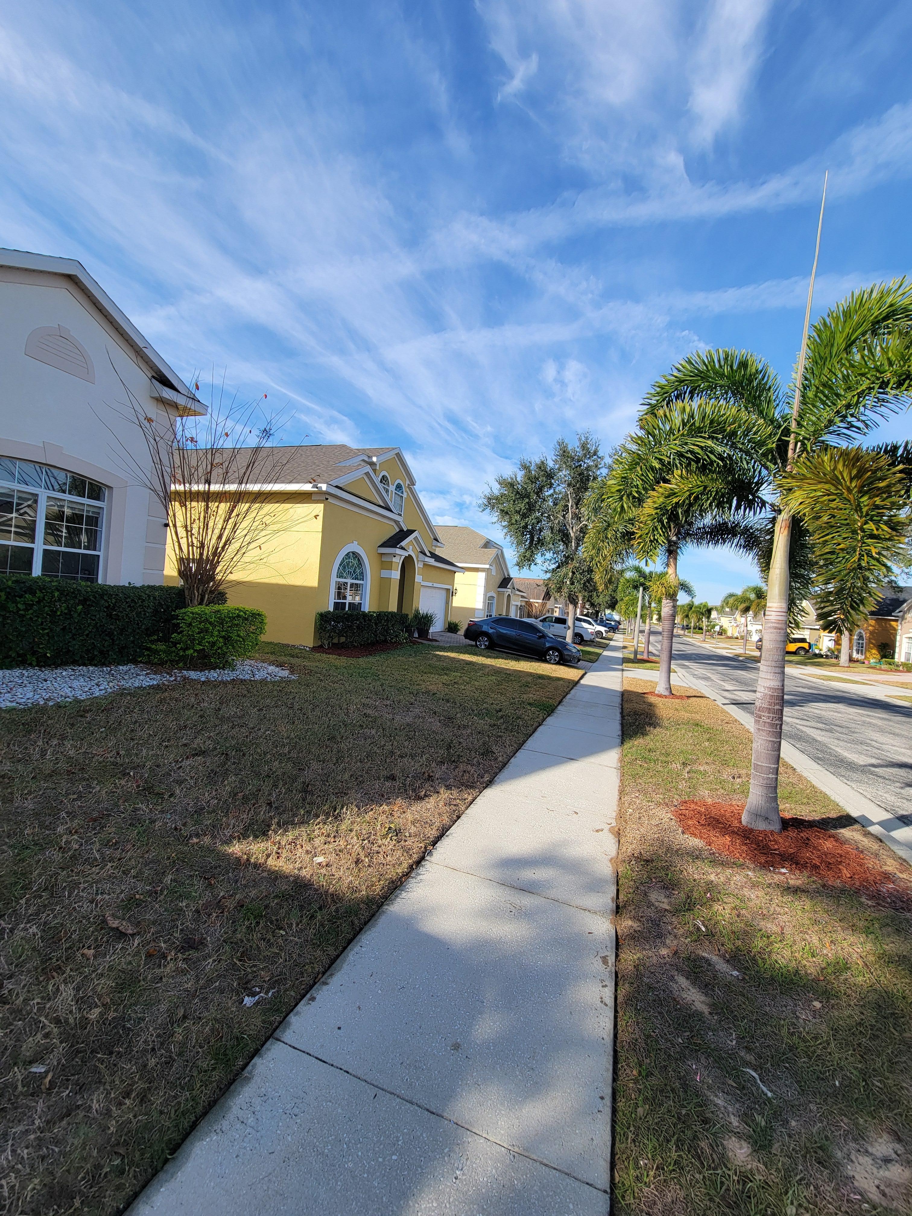 View from front of the home through the neighborhood