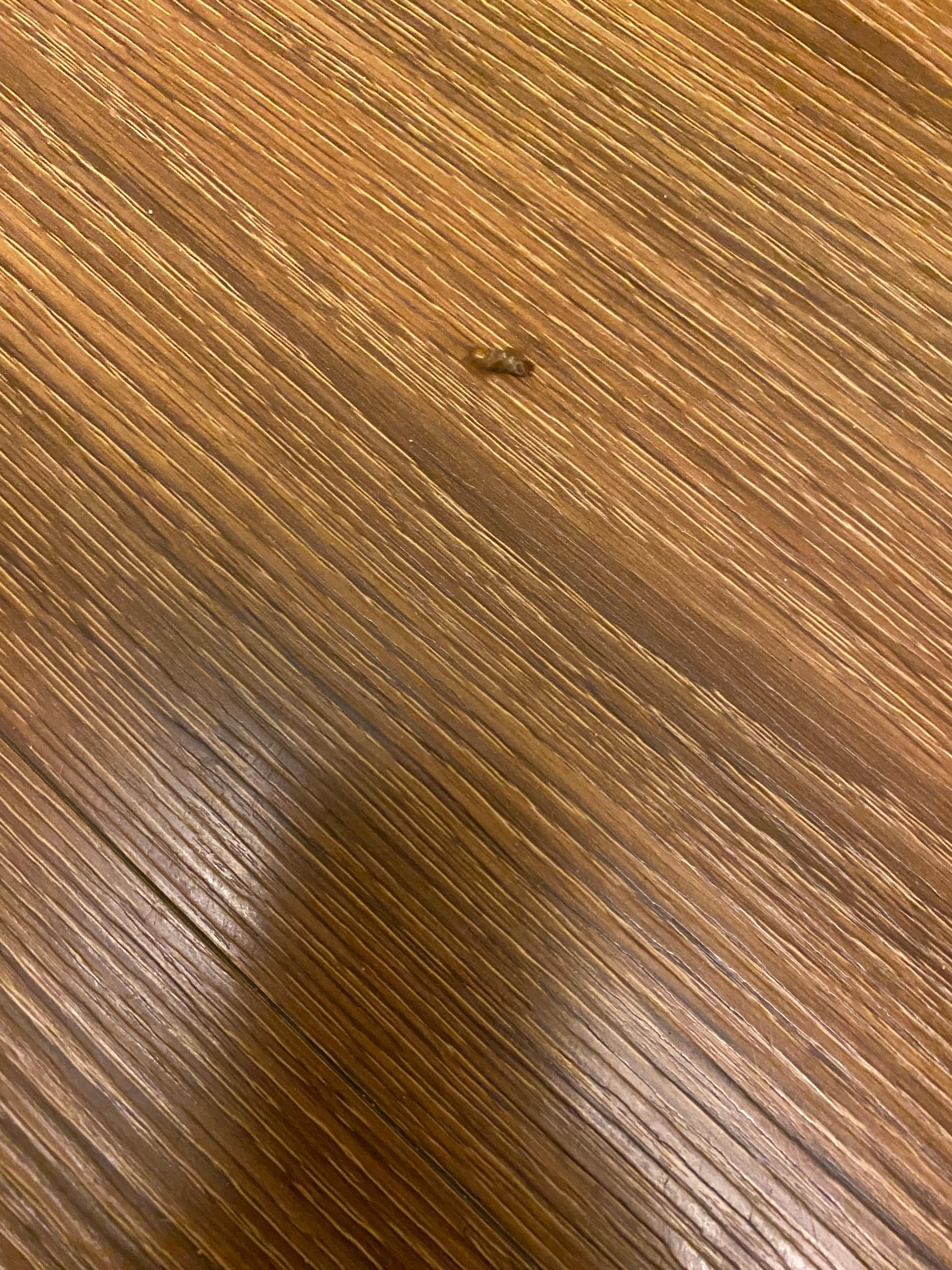 Live Bug on bed, I move it to the floor