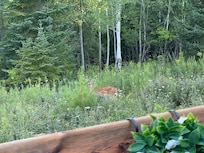 Breakfast visitors