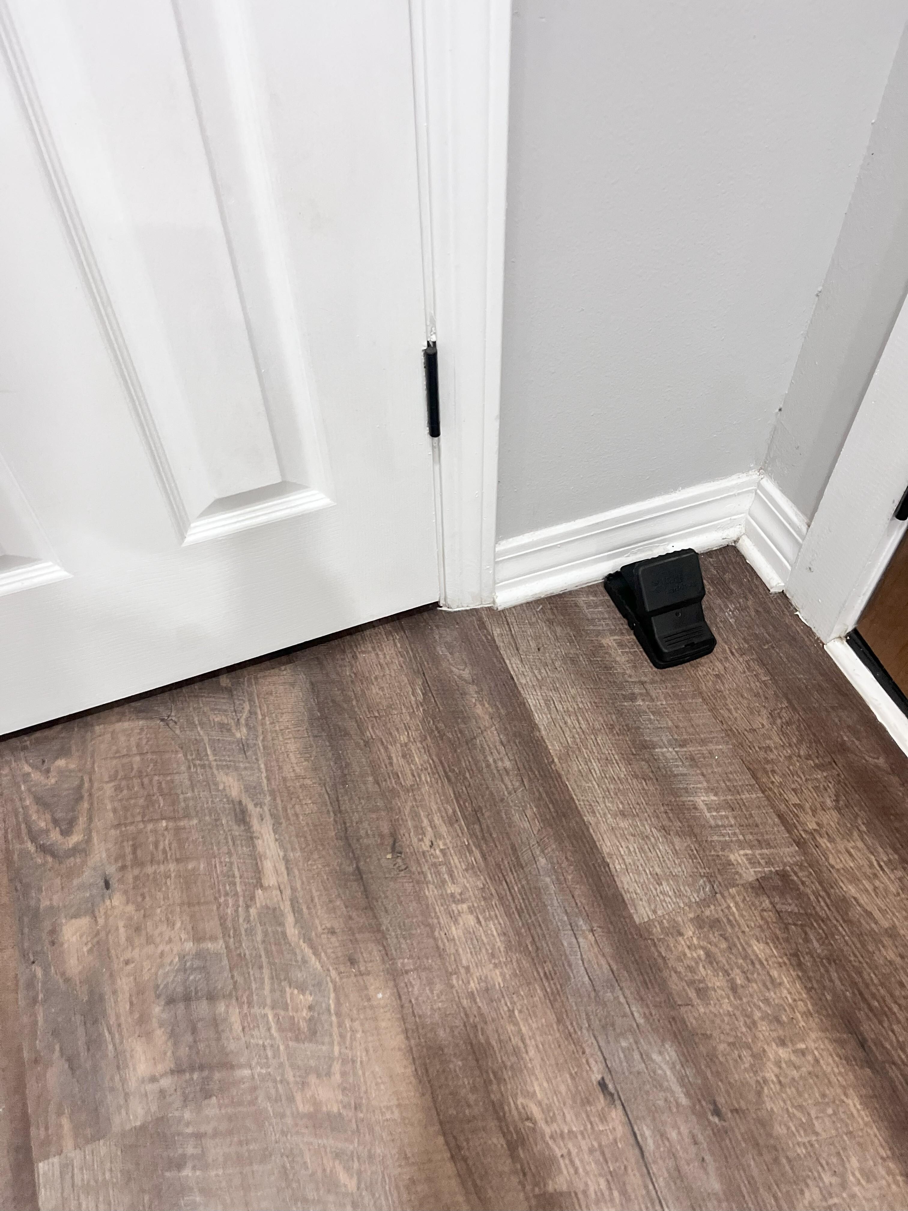 Mouse trap