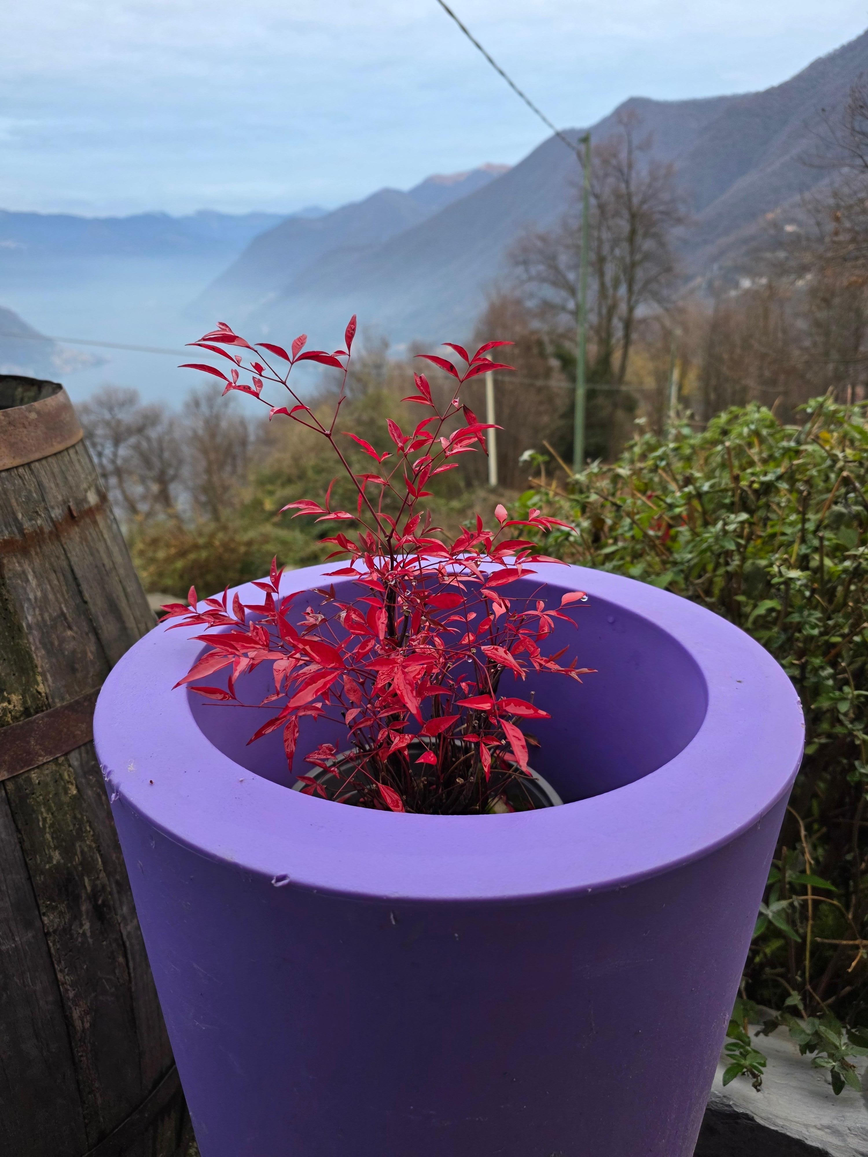 view from dinning area.