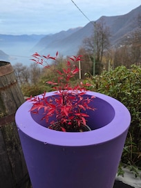 view from dinning area.