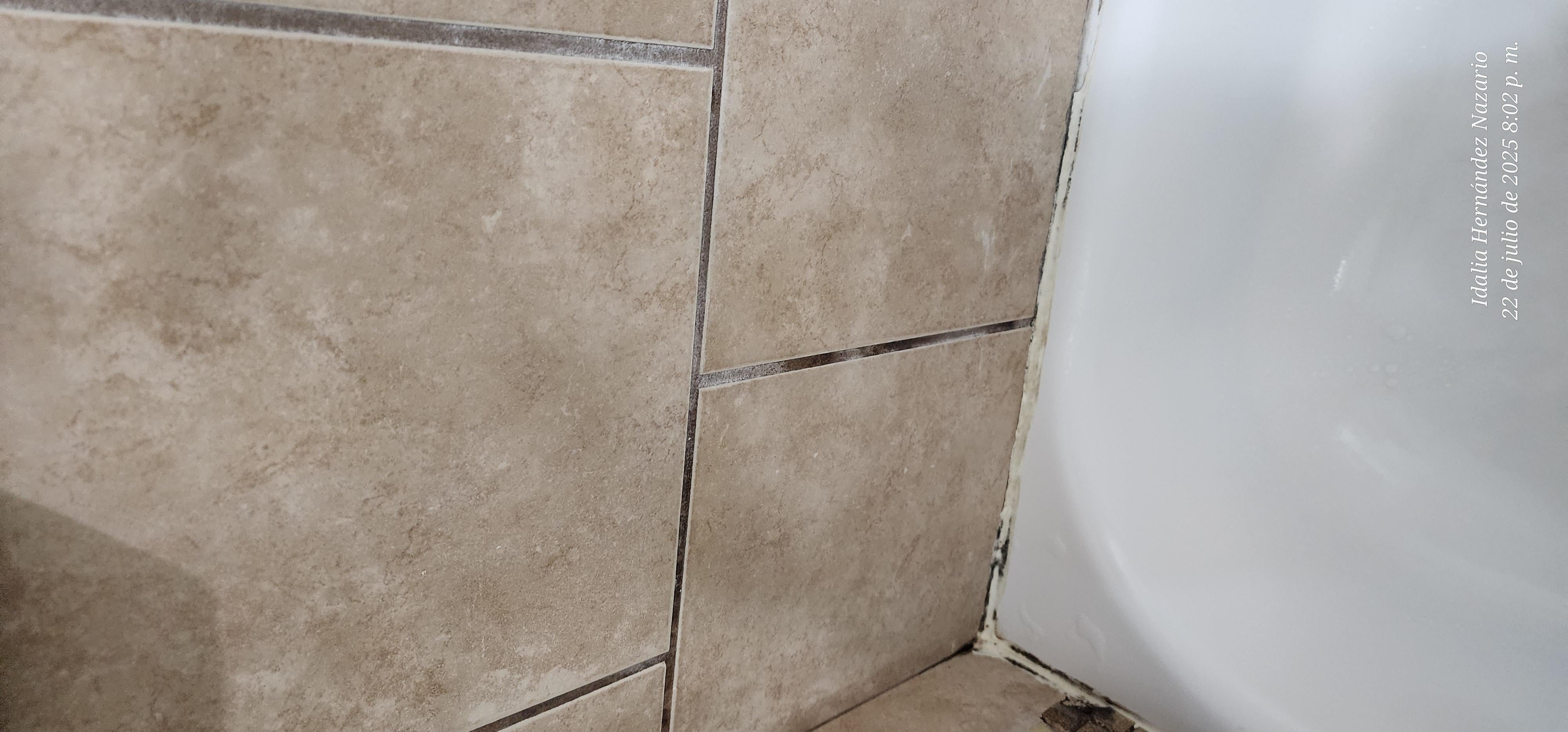 El baño necesita limpieza. El baño de mis otros familiares estaba en mejor condición. 