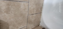 El baño necesita limpieza. El baño de mis otros familiares estaba en mejor condición.