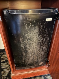 Mold covering the fridge door inside the wooden cabinet