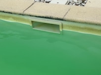 Scum / grime line around the green pool