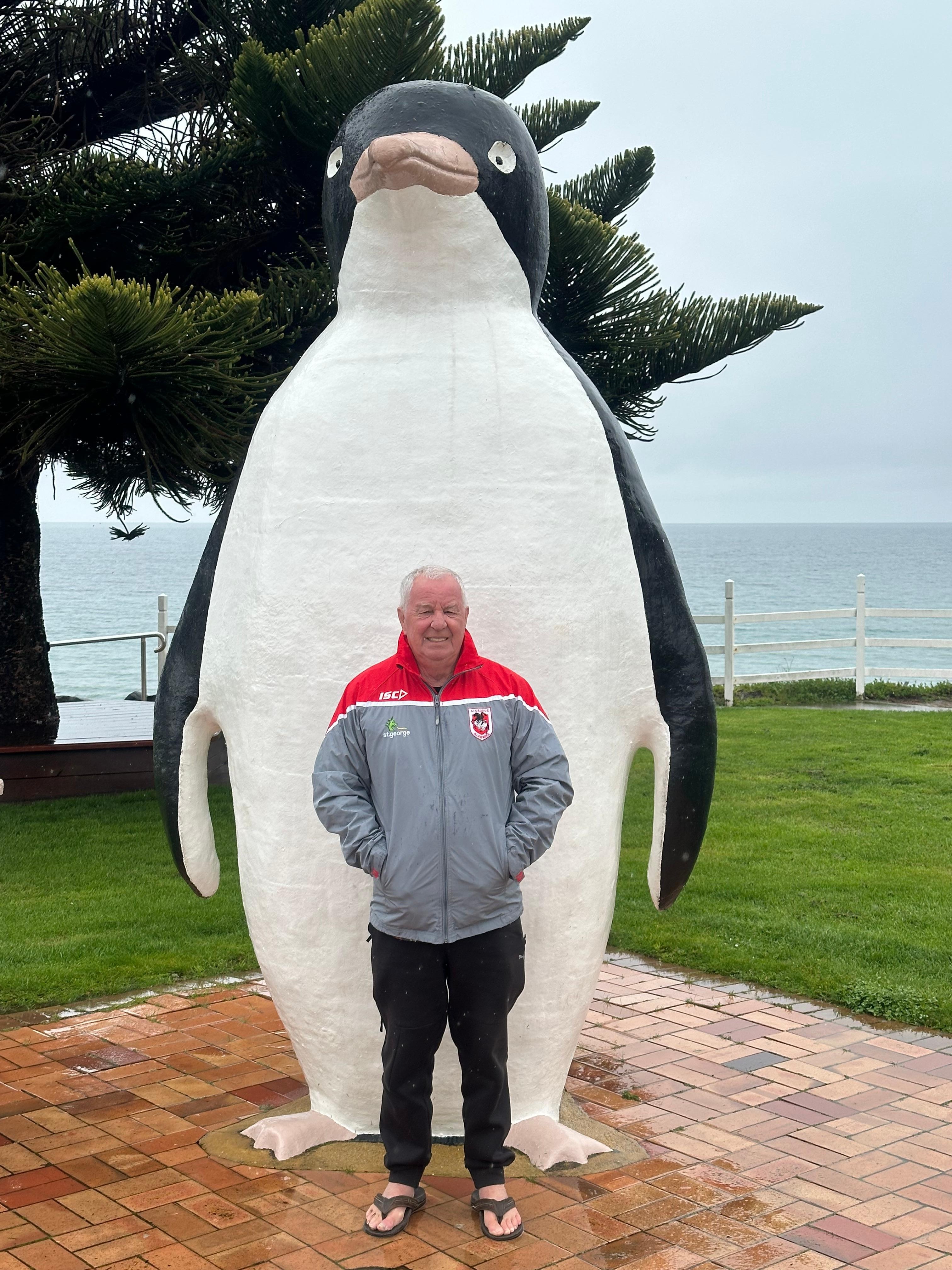 Little town of Penguin 