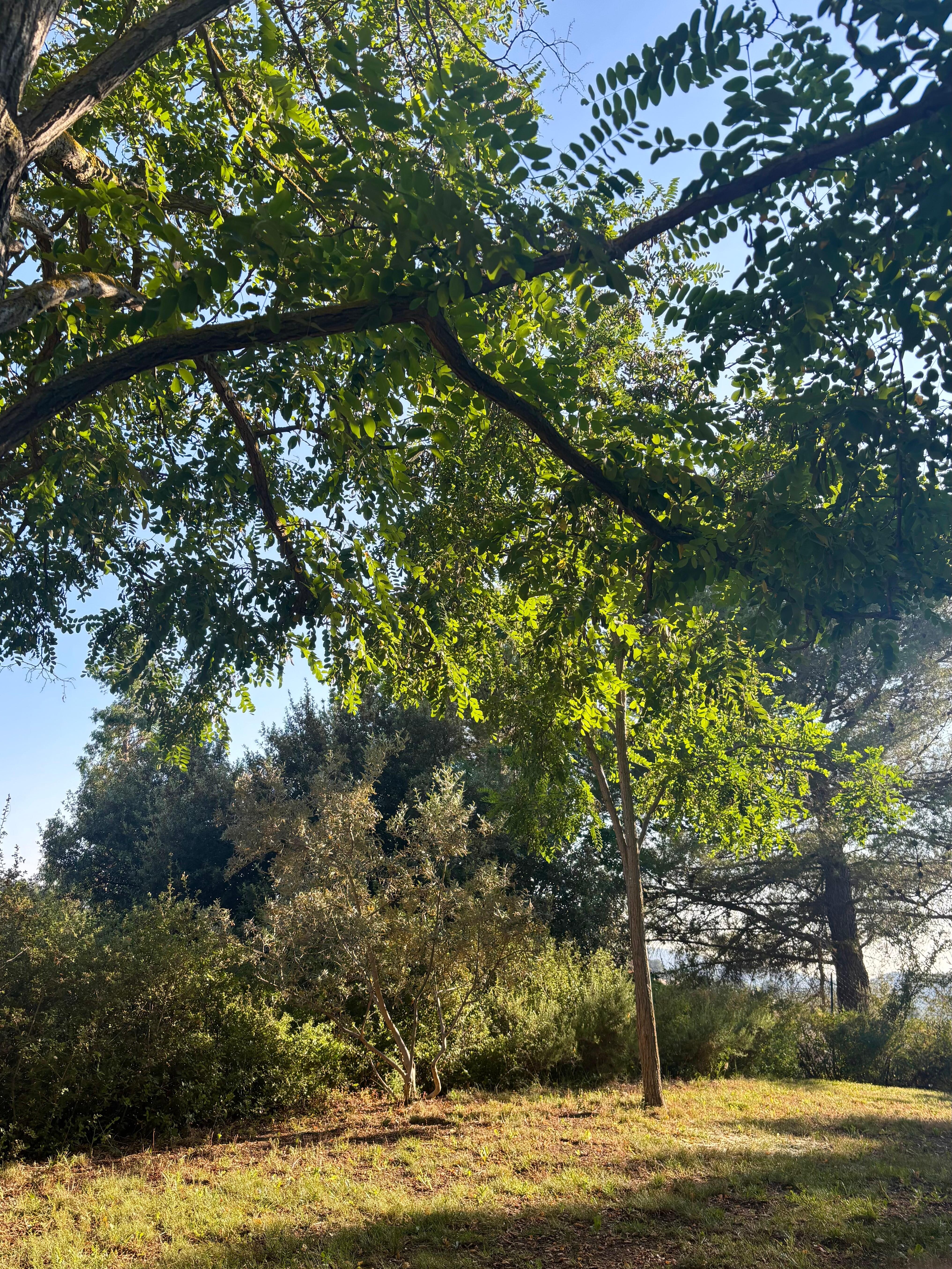 Rear area and bedroom view. 