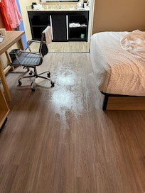 Floor was always wet or damp!